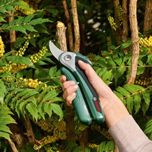 Pruning Shears for Precise Garden Cutting