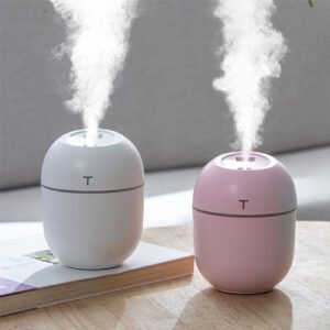 Humidifiers for Comfortable Indoor Air