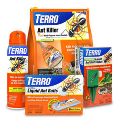 Indoor Insect & Pest Control