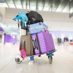 Luggage Carts for Travel, Moving and Everyday Transport
