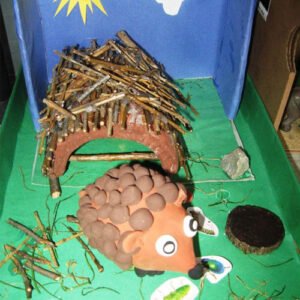 Habitats: Explore Animal Habitats, Nature & Educational Products