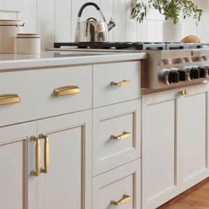 Cabinet Hardware for Kitchen and Home Storage