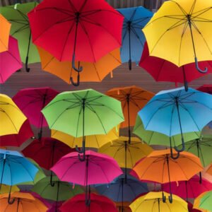 Umbrellas for Canadian Weather