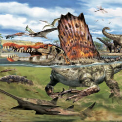 Dinosaurs & Prehistoric Creatures