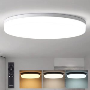 Ceiling Lights