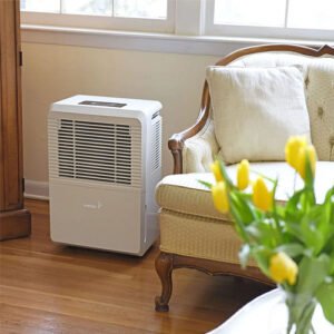 Dehumidifiers for Comfortable, Drier Indoor Spaces