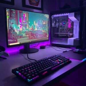 Computer Accessories & Peripherals