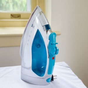 Steammaster Steam Iron in Canada