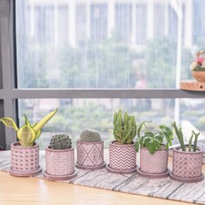 Planters for Indoor & Outdoor Plants