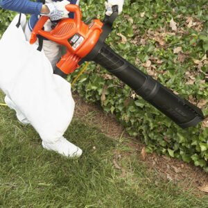 Blackdecker Leaf Blowers for Canadian Yard Cleanup