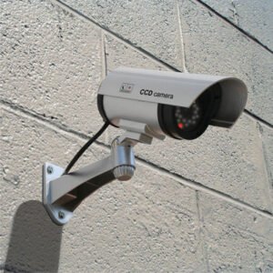 Simulated Cameras