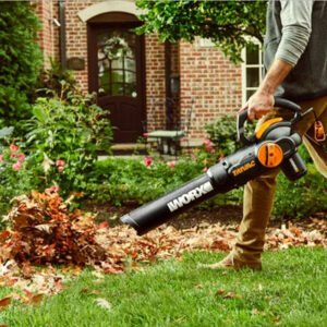 Worx Leaf Blowers in Canada