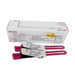 Type 1 Glass Ionomer Cement in Canada