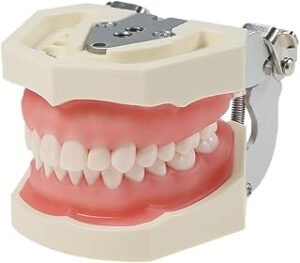 For Dental Students